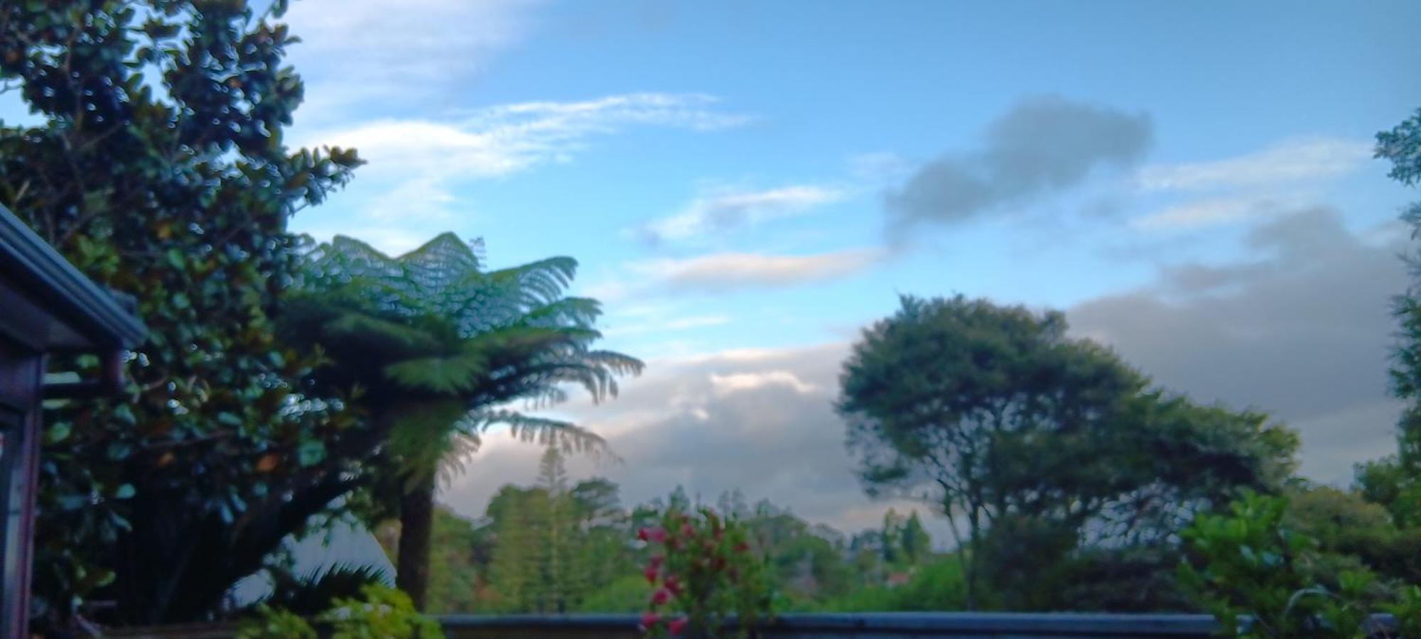 Tastebuds Bed N Breakfast Auckland Esterno foto