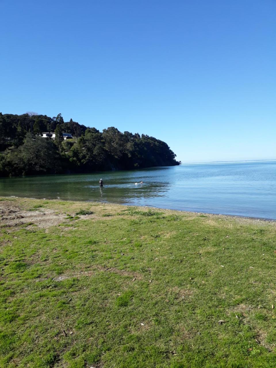 Tastebuds Bed N Breakfast Auckland Esterno foto