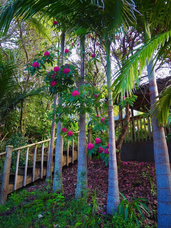 Tastebuds Bed N Breakfast Auckland Esterno foto